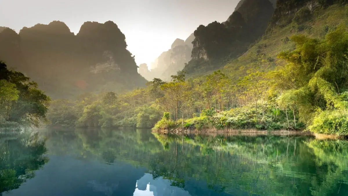 高端先进科技